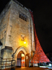 Poppyâ€™s fall at night
